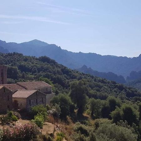 Maison Typique En Plein Coeur De Village Arbori Kültér fotó